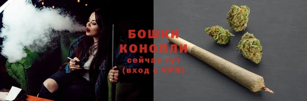 PSILOCYBIN Зерноград