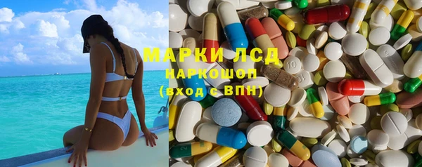 PSILOCYBIN Зерноград