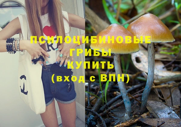 ECSTASY Зеленодольск